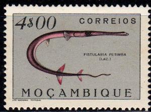 Colnect-594-972-Red-Cornetfish-Fistularia-petimba.jpg