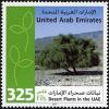 Colnect-1384-885-Desert-plants-in-the-UAE---Zizyphus-spina-christi.jpg