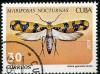 Colnect-1393-913-Moth-Attera-gemmata.jpg