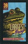 Colnect-202-572-American-Bullfrog-Lithobates-catesbeianus-largest-Frog.jpg