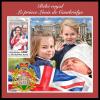 Colnect-6165-509-Birth-of-Prince-Louis.jpg