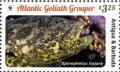 Colnect-3609-754-Atlantic-Goliath-Grouper-Epinephelus-itajara.jpg