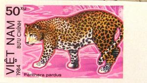 Colnect-1472-412-Leopard-Panthera-pardus---Imperforate.jpg