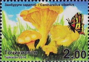 Colnect-3875-115-Cantharellus-cibarius.jpg