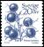 Colnect-2097-969-Blackthorn-Prunus-spinosa.jpg