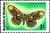 Colnect-5247-198-Owl-Moth-Brahmaea-wallichii.jpg