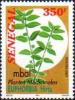 Colnect-2700-470-Mbal-or-Asthma-Weed-Euphorbia-hirta.jpg