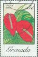 Colnect-2411-194-Anthurium-Andraeanum.jpg