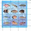 Colnect-1729-778-Rare-Fish-of-the-Red-Sea---MiNo-1399-1410.jpg