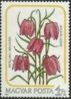 Colnect-604-449-Fritillaria-meleagris.jpg