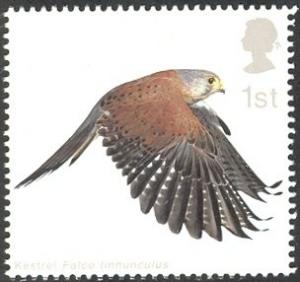 Colnect-1800-083-Common-Kestrel-Falco-tinnunculus-with-Wings-fully-extended.jpg