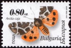 Colnect-5147-005-Garden-Tiger-Moth-Arctia-caja.jpg