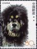 Colnect-5449-256-Tibetan-Mastiff-Canis-lupus-familiaris.jpg