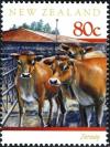 Colnect-2247-704-Jersey-Cattle-Bos-primigenius-taurus.jpg