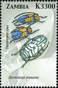 Colnect-3051-624-Jewel-Beetle-Sternotomis-virescens.jpg