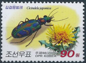 Colnect-3316-710-Japanese-tiger-beetle-Cicindela-japonica---Dandelion.jpg