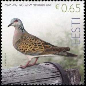 Colnect-3862-879-European-Turtle-Dove-Streptopelia-turtur.jpg