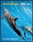 Colnect-5646-315-Indo-Pacific-Bottlenose-Dolphin-Tursiops-aduncus.jpg