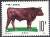 Colnect-3708-527-Red-Beef-Cattle-Bos-primigenius-taurus-.jpg