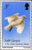 Colnect-4202-737-Birds-1987---Wattled-Sheathbill-Snowy-Sheathbill.jpg