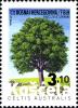 Colnect-3016-559-European-Nettle-tree-Celtis-australis-2.jpg