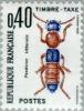 Colnect-147-061-Rove-Beetle-Paederus-littoralis.jpg