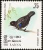 Colnect-862-144-Sri-Lanka-Whistling-thrush-Myophonus-blighi.jpg