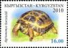Colnect-1535-290-Russian-Tortoise-Agrionemys-horsfieldi.jpg