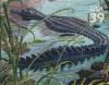 Colnect-202-665-American-Alligator-Alligator-mississippiensis.jpg