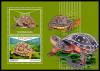 Colnect-5980-334-Leopard-Tortoise-Stigmochelys-pardalis.jpg