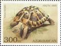 Colnect-196-077-Hermann--s-Tortoise-Testudo-hermanni.jpg