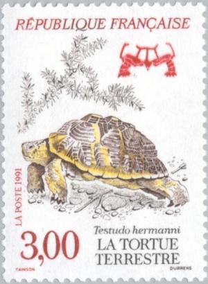 Colnect-146-053-Hermann-s-Tortoise-Testudo-hermanni.jpg