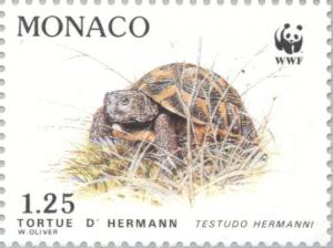 Colnect-149-525-Hermann-s-Tortoise-Testudo-hermanni.jpg