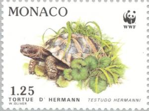Colnect-149-526-Hermann-s-Tortoise-Testudo-hermanni.jpg