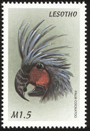 Colnect-1725-595-Palm-Cockatoo-Probosciger-aterrimus.jpg