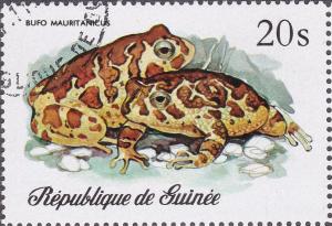 Colnect-2040-456-Berber-Toad-Bufo-mauritanicus.jpg
