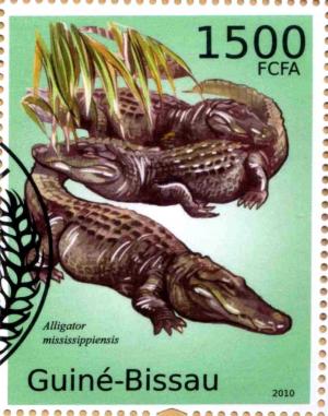Colnect-3739-568-American-Alligator-Alligator-mississippiensis.jpg