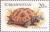 Stamps_of_Turkmenistan%2C_1994_-_Tortoise_%28Testudo_horsfieldi%29.jpg