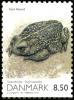 Colnect-3181-221-Natterjack-Toad-Bufo-calamita-from-m-s.jpg
