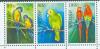 Colnect-1753-640-Strip-of-3-Parrots.jpg