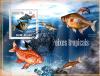 Colnect-3748-420-Tropical-Fishes.jpg