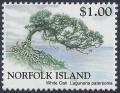 Colnect-5468-889-White-Oak-Tree-Lagunaria-patersonia.jpg