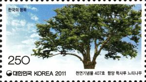 Colnect-1605-738-Zelkova-tree-at-Haksaru-Hamyang.jpg