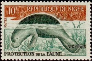 Colnect-522-457-African-Manatee-Trichechus-manatus-senegalensis.jpg