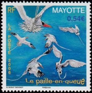 Colnect-851-201-White-tailed-Tropicbird-Phaethon-lepturus.jpg
