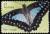 Colnect-4535-999-Pale-Green-Triangle-Graphium-eurypylus.jpg