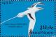 Colnect-1428-098-White-tailed-Tropicbird-Phaethon-lepturus.jpg