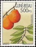 Colnect-1177-601-Fruits-of-Guinea-Bissau.jpg