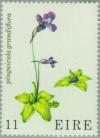 Colnect-128-545-Large-flowered-Butterwort-Pinguicula-grandiflora.jpg