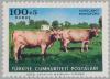 Colnect-2577-085-Montafon-Cattle-Bos-primigenius-taurus.jpg